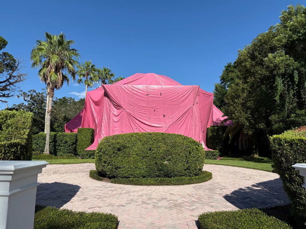 Home wrapped in a pink fumigation tent beside palms, hedges, and a paver courtyard