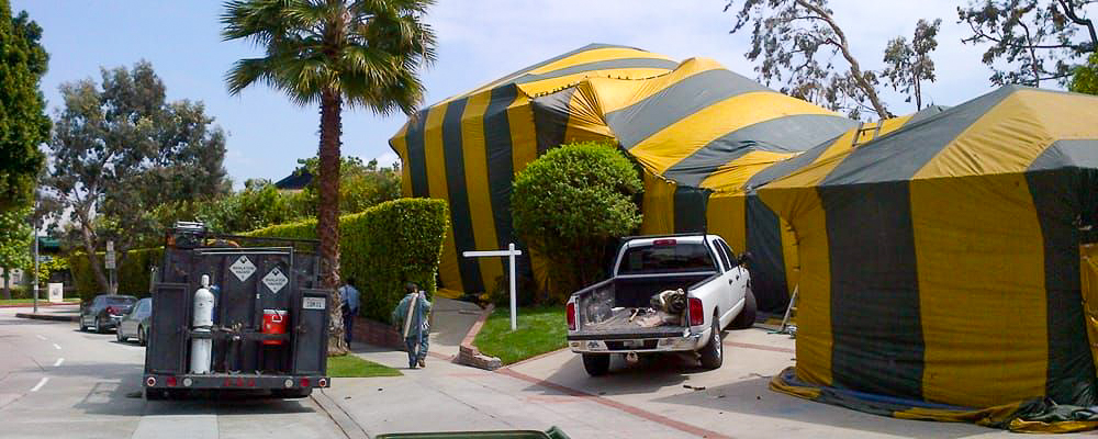 Completed tent fumigation job