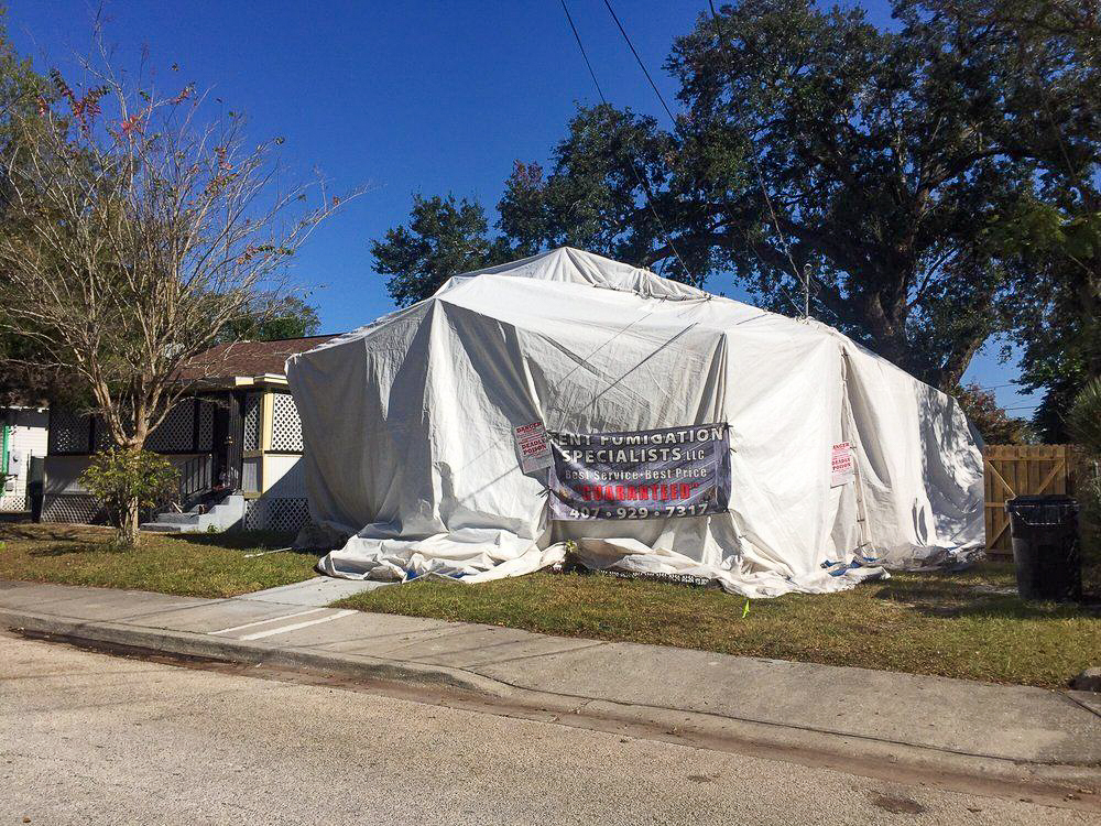 Completed tent fumigation job