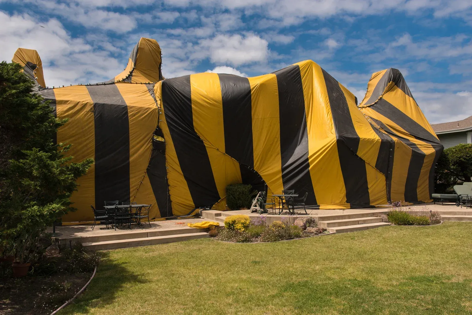 Recent tent fumigation project in Central Florida