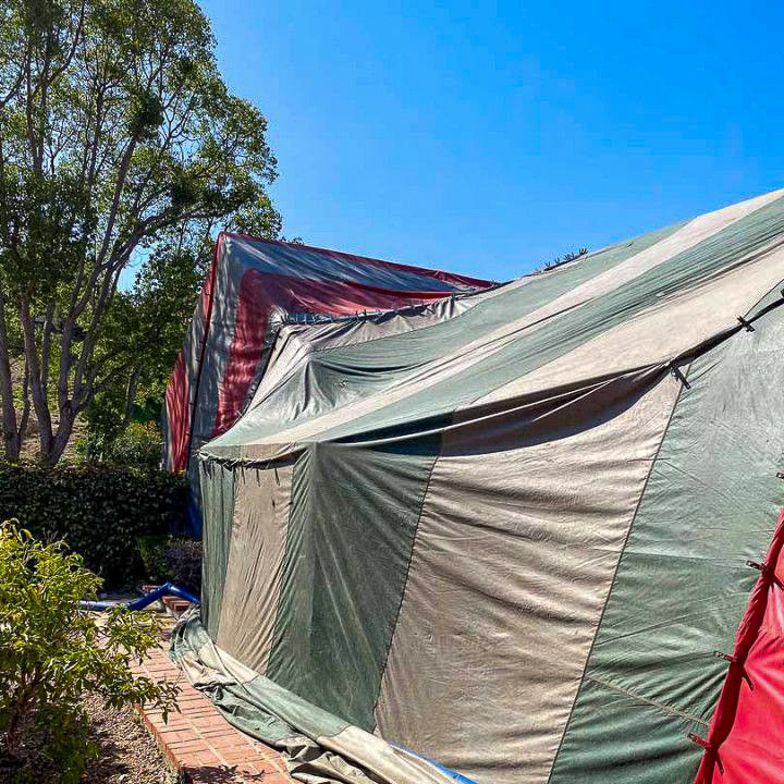 A Central Florida home professionally sealed under a fumigation tent