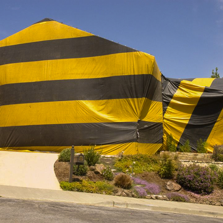 A residential home covered with a professional fumigation tent